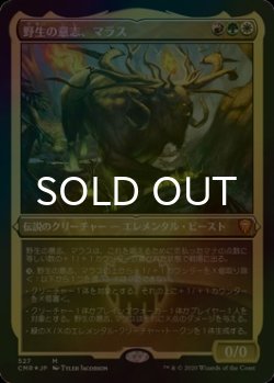 画像1: [FOIL] 野生の意志、マラス/Marath, Will of the Wild (エッチング仕様) 【日本語版】 [CMR-金MR]