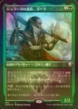 [FOIL] ジョラーガの酋長、ヌーマ/Numa, Joraga Chieftain (エッチング仕様) 【日本語版】 [CMR-緑U]