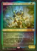 [FOIL] 報奨の祝賀者、イモーティ/Imoti, Celebrant of Bounty (エッチング仕様) 【日本語版】 [CMR-金U]