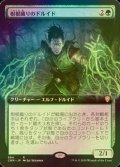 [FOIL] 樹根織りのドルイド/Rootweaver Druid (拡張アート版) 【日本語版】 [CMR-緑R]