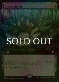 [FOIL] 下生えの競技場/Undergrowth Stadium (拡張アート版) 【日本語版】 [CMR-土地R]