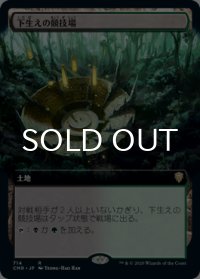 下生えの競技場/Undergrowth Stadium (拡張アート版) 【日本語版】 [CMR-土地R]