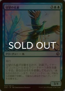 画像1: [FOIL] 切望の孔雀/Coveted Peacock 【日本語版】 [CN2-青U]