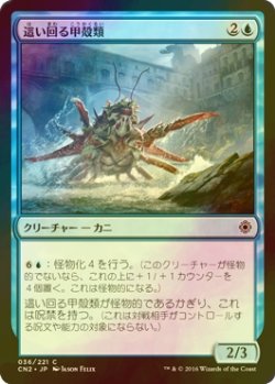 画像1: [FOIL] 這い回る甲殻類/Skittering Crustacean 【日本語版】 [CN2-青C]