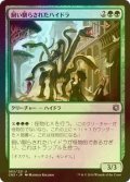 [FOIL] 飼い馴らされたハイドラ/Domesticated Hydra 【日本語版】 [CN2-緑U]