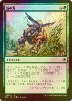 画像1: [FOIL] 数の力/Strength in Numbers 【日本語版】 [CN2-緑C]