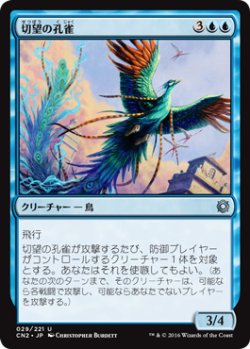 画像1: 切望の孔雀/Coveted Peacock 【日本語版】 [CN2-青U]