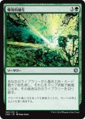 爆発的植生/Explosive Vegetation 【日本語版】 [CN2-緑U]
