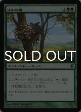 リスの巣/Squirrel Nest 【日本語版】 [CNS-緑U]