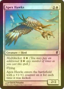 画像1: [FOIL] 天頂の鷹/Apex Hawks 【英語版】 [CNS-白C]