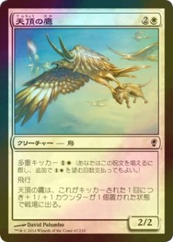 画像1: [FOIL] 天頂の鷹/Apex Hawks 【日本語版】 [CNS-白C]