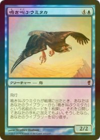 [FOIL] 鳴き叫ぶウミタカ/Screaming Seahawk 【日本語版】 [CNS-青C]