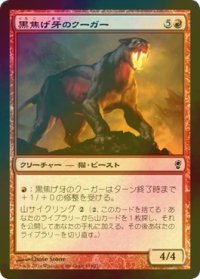 [FOIL] 黒焦げ牙のクーガー/Chartooth Cougar 【日本語版】 [CNS-赤C]