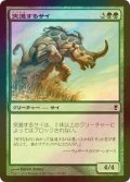 [FOIL] 突進するサイ/Charging Rhino 【日本語版】 [CNS-緑C]