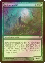 [FOIL] 遠吠えする狼/Howling Wolf 【日本語版】 [CNS-緑C]