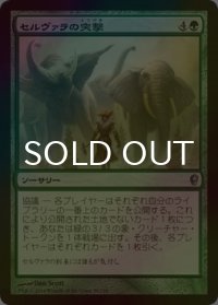 [FOIL] セルヴァラの突撃/Selvala's Charge 【日本語版】 [CNS-緑U]