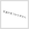 イニストラードを覆う影 日本語版 エントリーセット 5種セット
