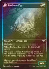 [FOIL] 生物光の卵/Biolume Egg 【英語版】 [DBL-青U]