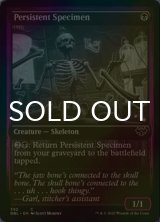 [FOIL] しつこい標本/Persistent Specimen 【英語版】 [DBL-黒C]