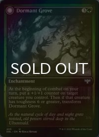 [FOIL] 休樹林帯/Dormant Grove 【英語版】 [DBL-緑U]