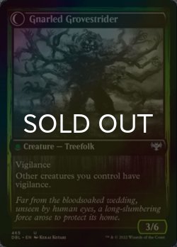 画像2: [FOIL] 休樹林帯/Dormant Grove 【英語版】 [DBL-緑U]