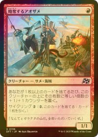 [FOIL] 略奪するアオザメ/Marauding Mako 【日本語版】 [DFT-赤U]