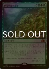 [FOIL] 世界軟泥の進撃/March of the World Ooze 【日本語版】 [DFT-緑MR]