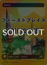 [FOIL] 森/Forest No.516 (全面アート版・ファーストプレイス仕様) 【英語版】 [DFT-土地C]