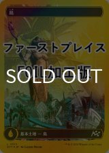 [FOIL] 島/Island No.513 (全面アート版・ファーストプレイス仕様) 【日本語版】 [DFT-土地C]