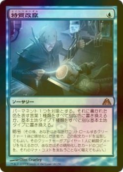 画像1: [FOIL] 特質改竄/Trait Doctoring 【日本語版】 [DGM-青R]