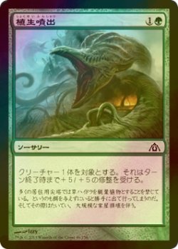 画像1: [FOIL] 植生噴出/Phytoburst 【日本語版】 [DGM-緑C]