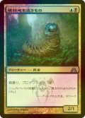 [FOIL] 植林地を這うもの/Woodlot Crawler 【日本語版】 [DGM-金U]