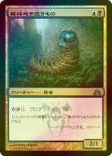 [FOIL] 植林地を這うもの/Woodlot Crawler 【日本語版】 [DGM-金U]