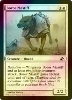 画像1: [FOIL] ボロスの猛犬/Boros Mastiff 【英語版】 [DGM-白C]