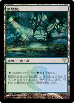 画像1: 繁殖池/Breeding Pool (DIS/土地R/日/通常/EX) ※詳細要確認