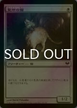 [FOIL] 聖所の猫/Sanctuary Cat 【日本語版】 [DKA-白C]