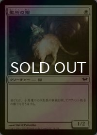 [FOIL] 聖所の猫/Sanctuary Cat 【日本語版】 [DKA-白C]