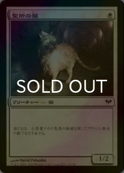 画像1: [FOIL] 聖所の猫/Sanctuary Cat 【日本語版】 [DKA-白C]