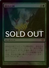 [FOIL] 群れに餌/Feed the Pack 【日本語版】 [DKA-緑R]