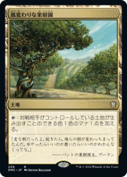 画像1: 風変わりな果樹園/Exotic Orchard 【日本語版】 [DMC-土地R]