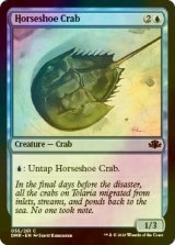 [FOIL] カブトガニ/Horseshoe Crab 【英語版】 [DMR-青C]