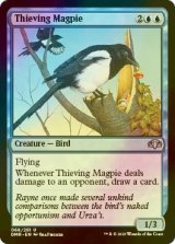 [FOIL] 泥棒カササギ/Thieving Magpie 【英語版】 [DMR-青U]