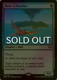 [FOIL] 極楽鳥/Birds of Paradise 【英語版】 [DMR-緑R]
