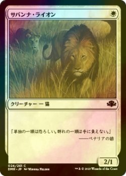 画像1: [FOIL] サバンナ・ライオン/Savannah Lions 【日本語版】 [DMR-白C]