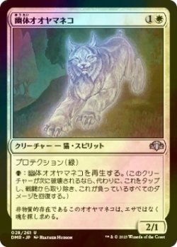 画像1: [FOIL] 幽体オオヤマネコ/Spectral Lynx 【日本語版】 [DMR-白U]