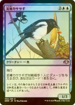 画像1: [FOIL] 泥棒カササギ/Thieving Magpie 【日本語版】 [DMR-青U]