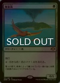 [FOIL] 極楽鳥/Birds of Paradise 【日本語版】 [DMR-緑R]