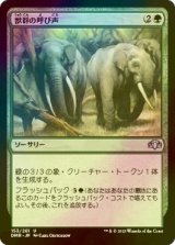 [FOIL] 獣群の呼び声/Call of the Herd 【日本語版】 [DMR-緑U]