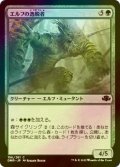 [FOIL] エルフの逸脱者/Elvish Aberration 【日本語版】 [DMR-緑C]