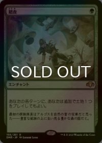 [FOIL] 踏査/Exploration 【日本語版】 [DMR-緑R]